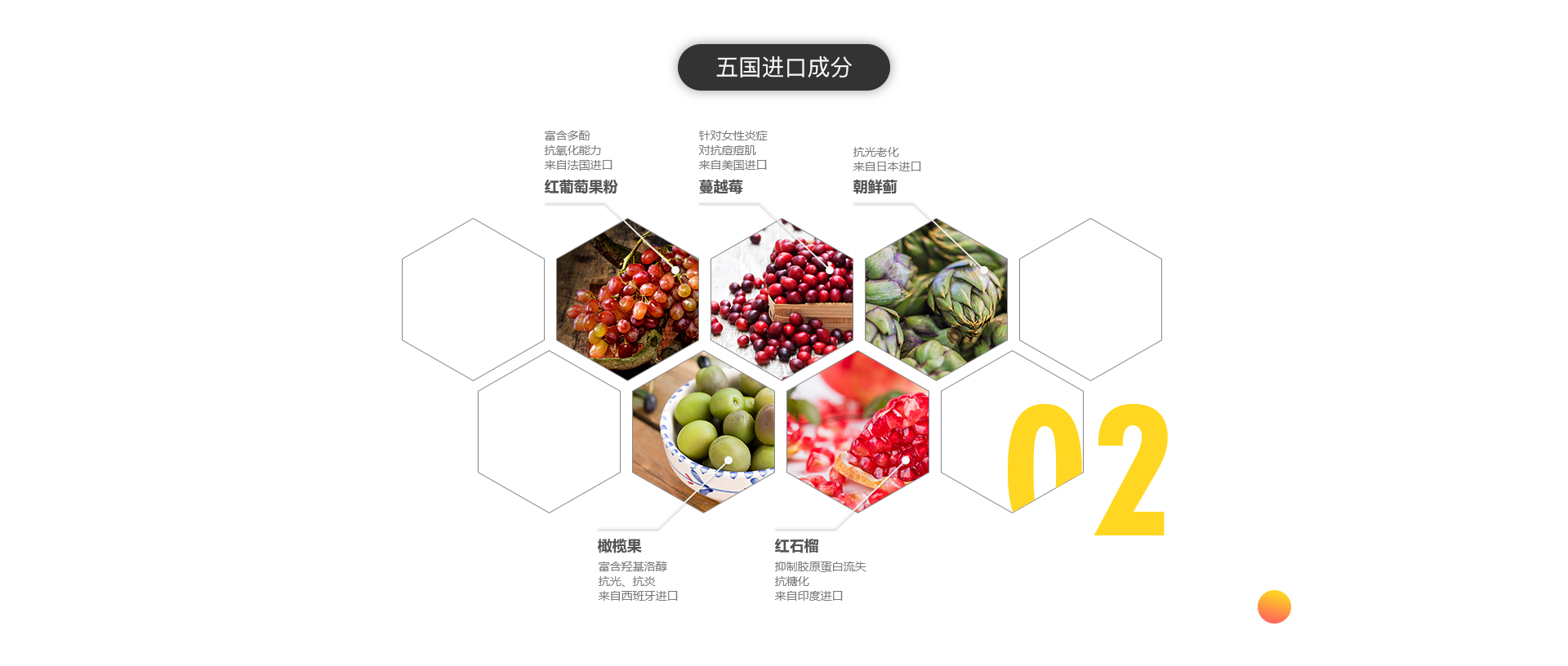 朵杞 燕窝胶原蛋白肽 五国进口成分